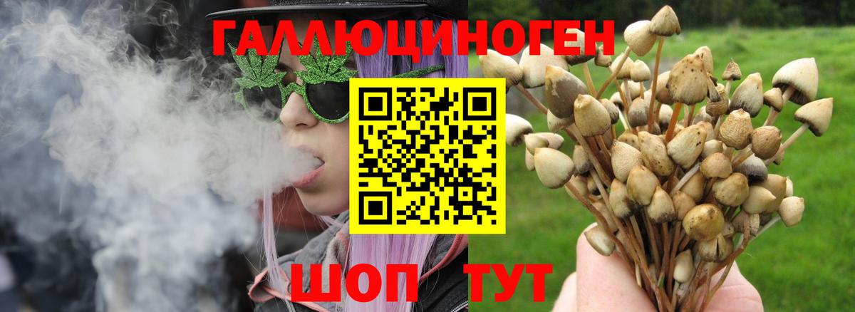 Галлюциногенные грибы мицелий  Вход с VPN  Псилоцибиновые грибы мицелий  Дзержинск 